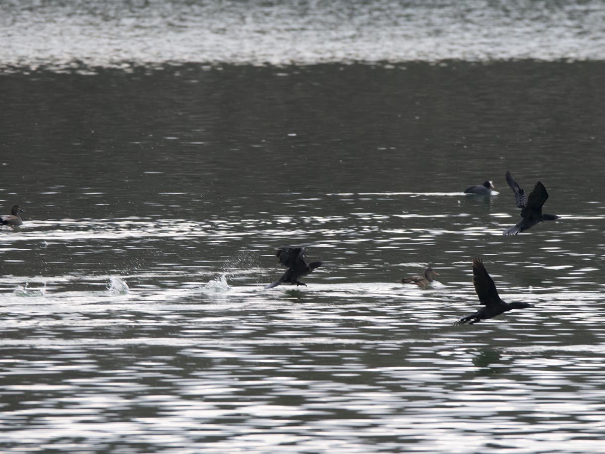 beim Abflug